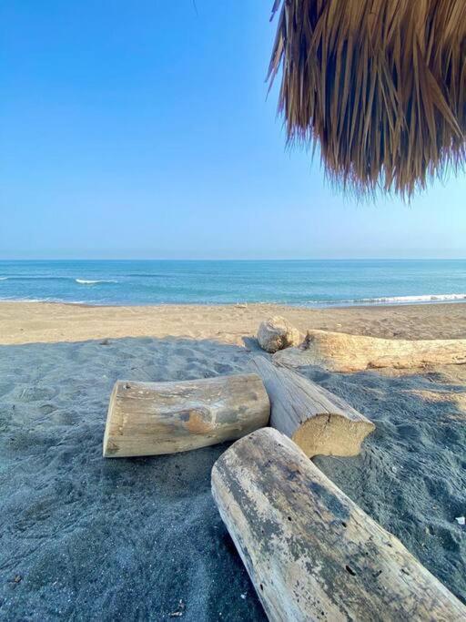 Heroica Alvarado Victoria'S Beach House מראה חיצוני תמונה